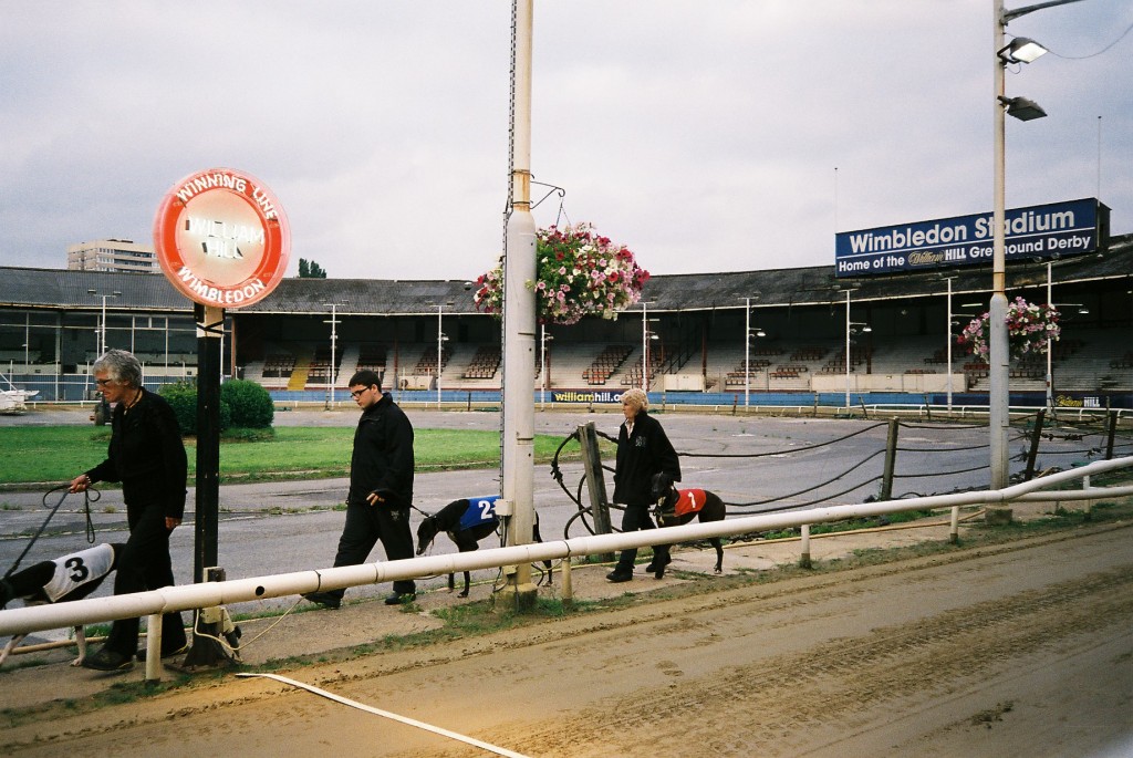 Hark1karan - Daily Life - Wimbledon Dogs