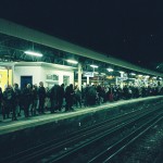 Clapham Junction Sheep Life