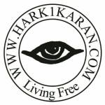 Hark1karan.com 1st Birthday