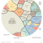 A World of Languages