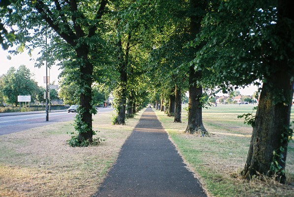 figge's marsh gorringe park mitcham tooting