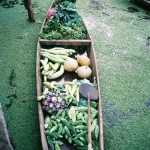 Srinagar – Floating Vegetable Market
