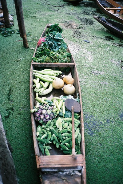 srinagar kashmire floating market www.hark1karan.com - India - Kashmir - Srinagar - September 2015 (3)