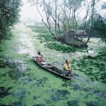 Kashmir – Srinagar – Floating Market