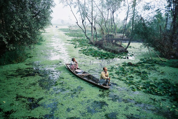 srinagar kashmir floating market www.hark1karan.com - India - Kashmir - Srinagar - September 2015 (3)