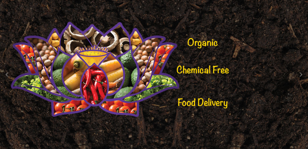 lotus flower foods organic and chemical free 2