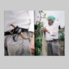 (Sold Out) Grass Roots - Image 11
