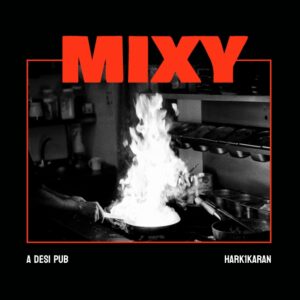 Hark1karan-Mixy-Desi-Pub-Mixed-Grill-Photobook-Documentary